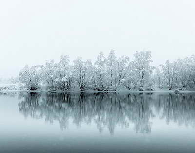 Халық Кеңесі – Қазақстан халқының мүддесін білдіретін жоғары консультативтік орган