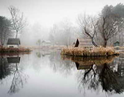 Кыргызстан обеспечивает себя семенами зерновых на 20%, планируется рост к 2030 году, - Минсельхоз