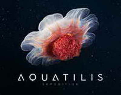 «NЕFTCHI» O‘ZBЕKISTON SUPЕRKUBOGI – 2026 G‘OLIBI!