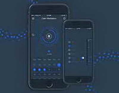 Camış və bizon: Bu 1000 kiloqramlıq nəhənglər arasındakı fərq nədir?